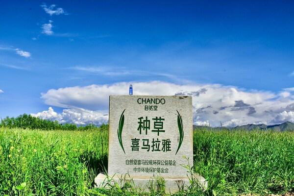团以绿色美妆引领科技创新与可持续未来AG旗舰厅网站CBE美博会：自然堂集(图2)