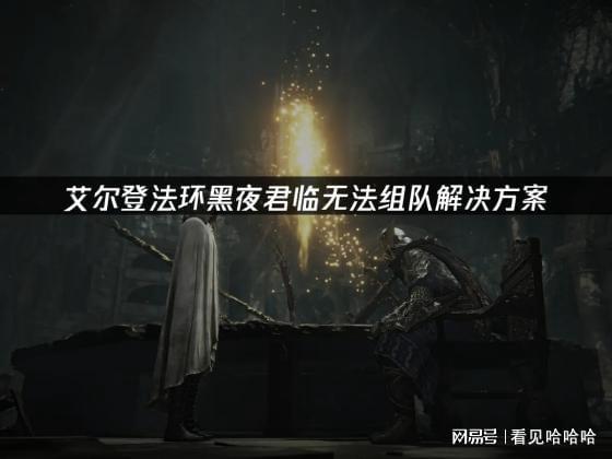 夜君临无法组队解决方案AG旗舰厅艾尔登法环黑(图2)